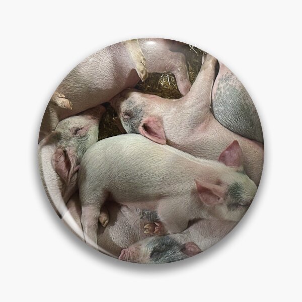Item preview, Piglets designed and sold by Graz-Photos.