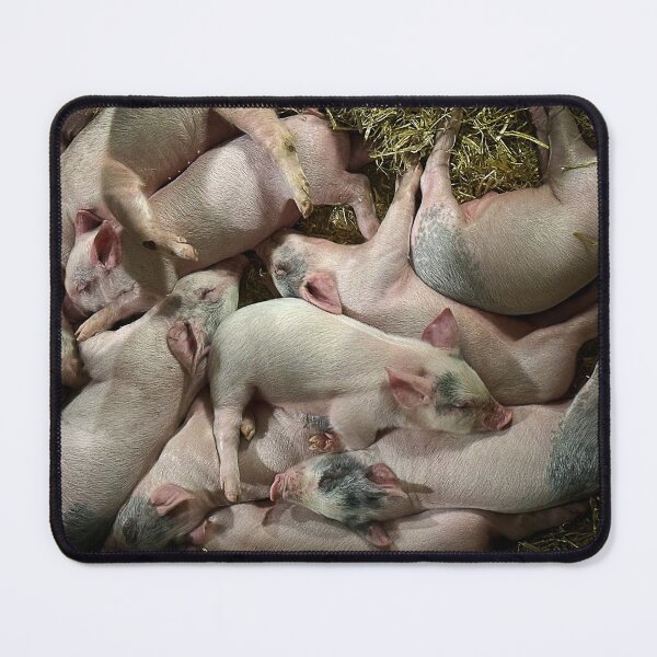 Item preview, Piglets designed and sold by Graz-Photos.