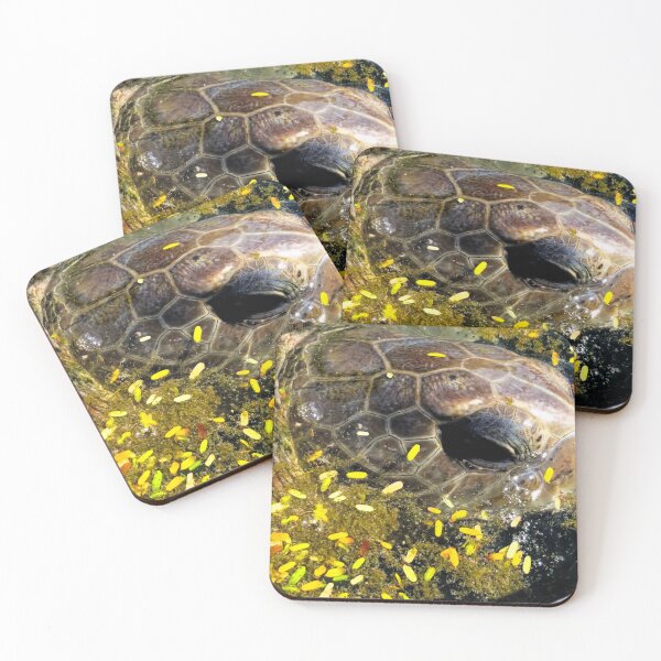 Item preview, Tortuga marina que echa chorros designed and sold by ChatStroh.