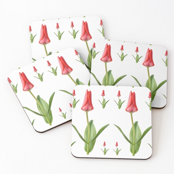 Aperçu de l'œuvre Tulipa & Marquis de la Coquette & # 39; Tulipe du Groupe Greigii créée et vendue par Chris Burrows.