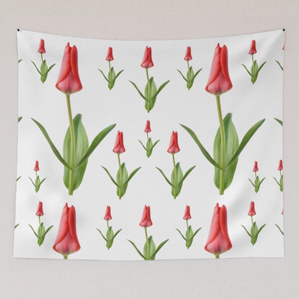 Aperçu de l'œuvre Tulipa & Marquis de la Coquette & # 39; Tulipe du Groupe Greigii créée et vendue par Chris Burrows.