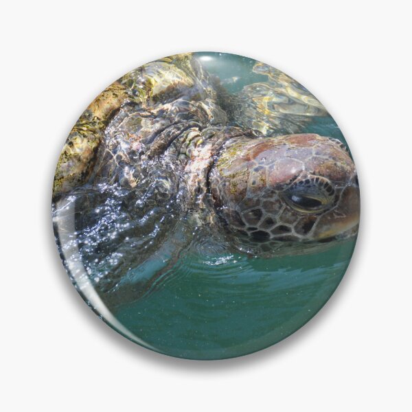 Item preview, Snorting Sea Turtle designed and sold by ChatStroh.