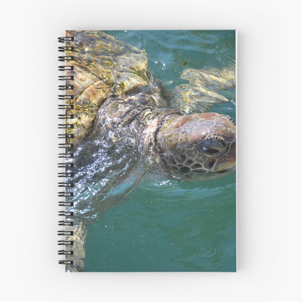 Item preview, Snorting Sea Turtle designed and sold by ChatStroh.
