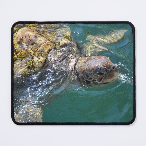 Item preview, Snorting Sea Turtle designed and sold by ChatStroh.