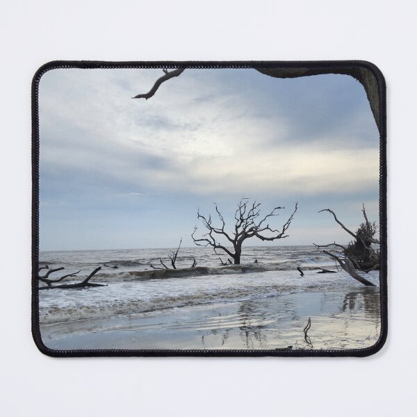 Item preview, Skeleton Trees on Driftwood Beach designed and sold by ChatStroh.