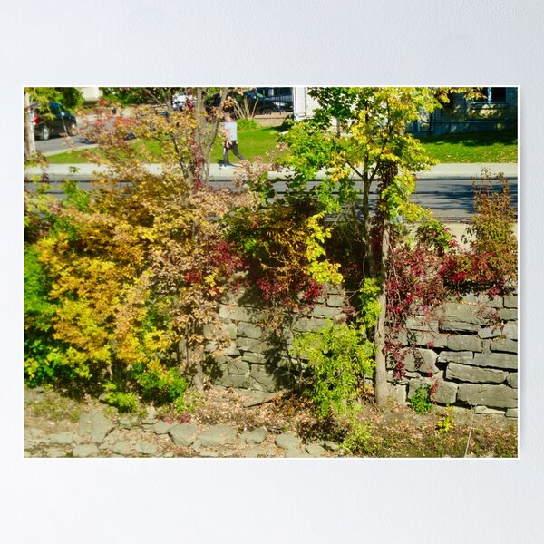 Item preview, Wall along the Rideau River designed and sold by Shulie1.