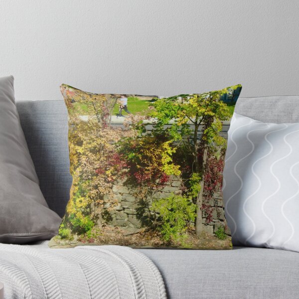 Item preview, Wall along the Rideau River designed and sold by Shulie1.