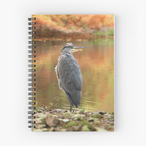 Item preview, Grey heron in an autumn background designed and sold by GoizaneHM.