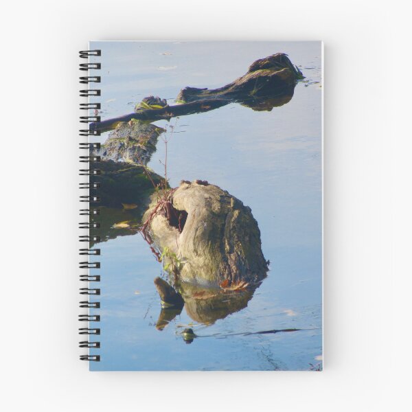 Item preview, Monster in the Rideau River designed and sold by Shulie1.