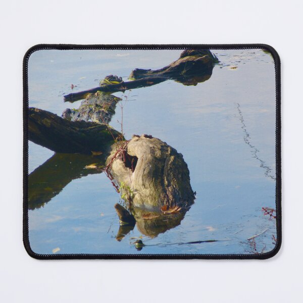 Item preview, Monster in the Rideau River designed and sold by Shulie1.