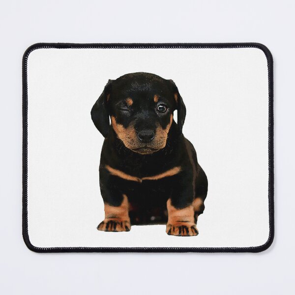 Item preview, A dog that winks at you designed and sold by Timoti-Shop.