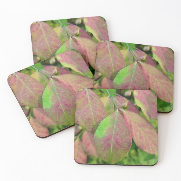 Item preview, Burning Bush Fall Foliage designed and sold by MtnAshMan.