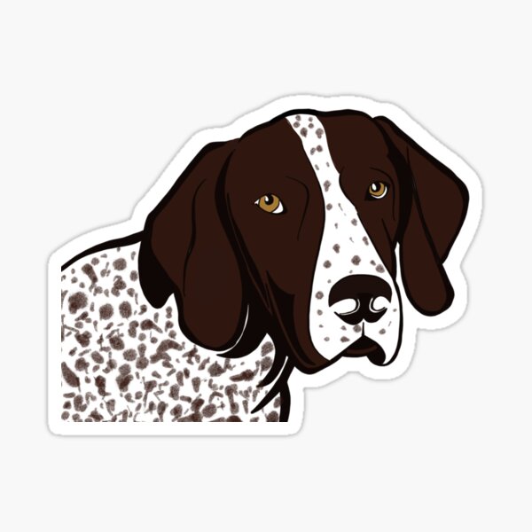 german shorthaired pointer accessories