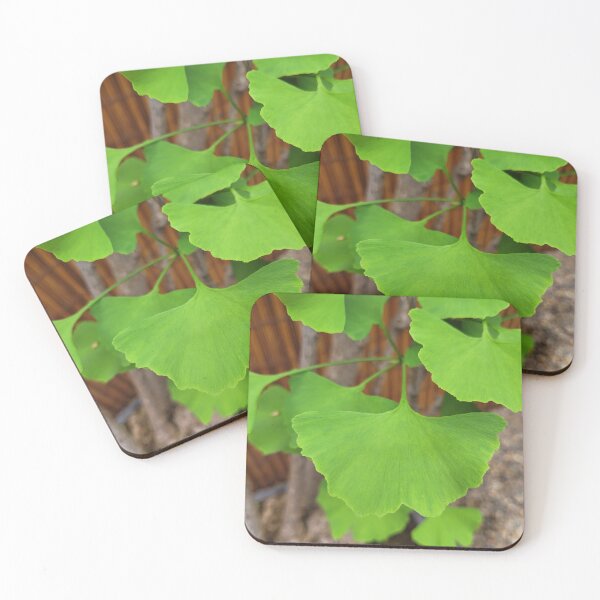 Item preview, Vibrant Butterfly Ginkgo Leaves designed and sold by MtnAshMan.