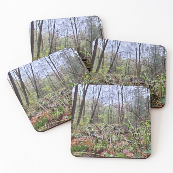 Item preview, Spring Ferns Bursting from the Earth designed and sold by MtnAshMan.