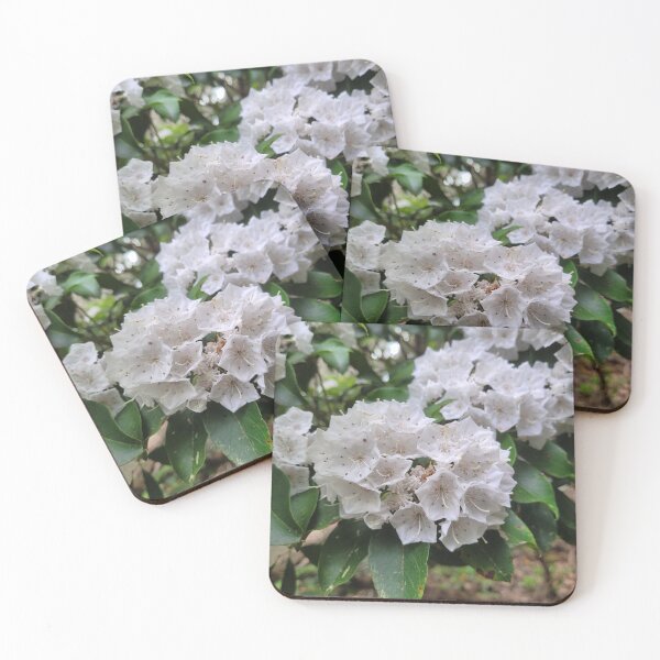 Item preview, Clusters of Mountain Laurel Flowers designed and sold by MtnAshMan.