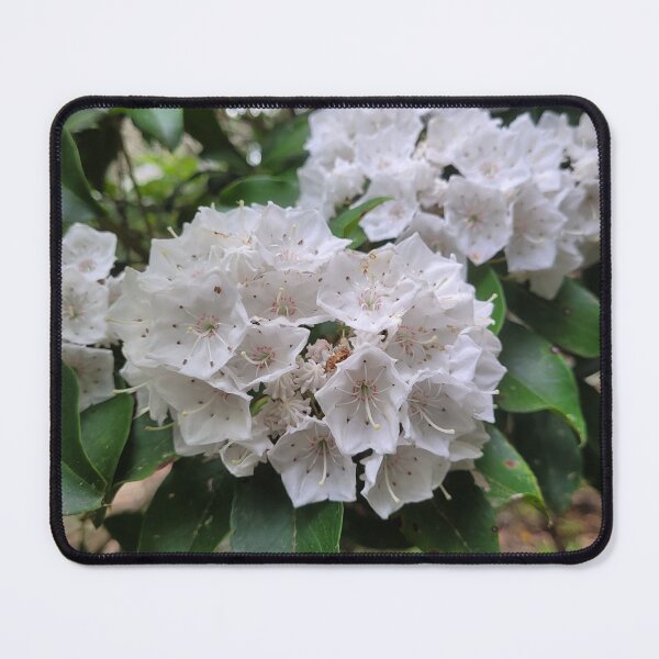 Item preview, Clusters of Mountain Laurel Flowers designed and sold by MtnAshMan.