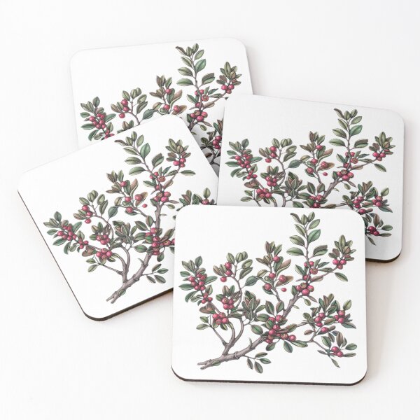 Item preview, Bearberry The Benefits of This Medicinal Plant designed and sold by Artcurrents.