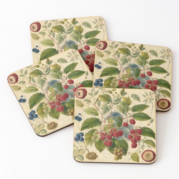 Item preview, Rapsberries botanical chart designed and sold by ArwenGrey.