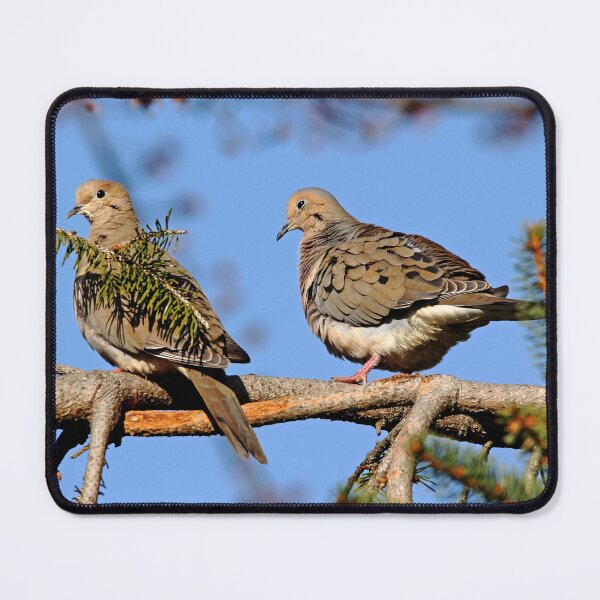 Item preview, Mourning Doves In Spring designed and sold by Debbie Oppermann.