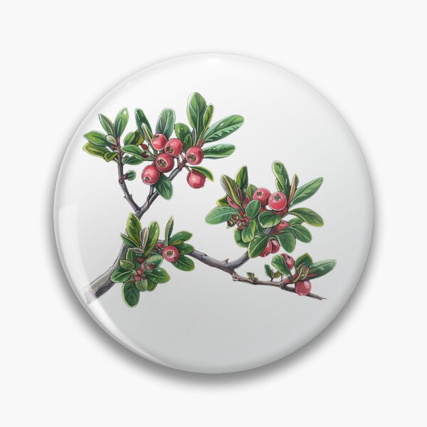 Item preview, Bearberry A Pictorial Guide to This Medicinal Plant designed and sold by Artcurrents.