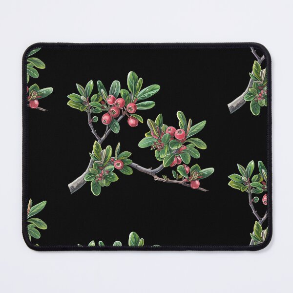 Item preview, Bearberry A Pictorial Guide to This Medicinal Plant designed and sold by Artcurrents.