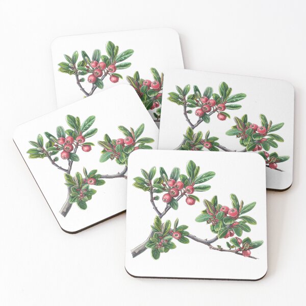 Item preview, Bearberry A Pictorial Guide to This Medicinal Plant designed and sold by Artcurrents.