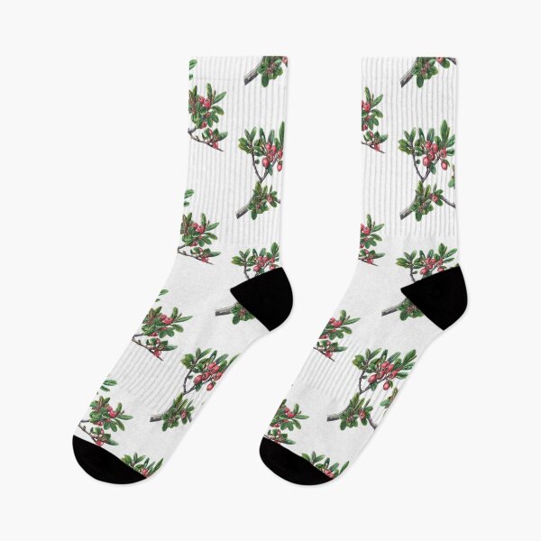 Item preview, Bearberry A Pictorial Guide to This Medicinal Plant designed and sold by Artcurrents.