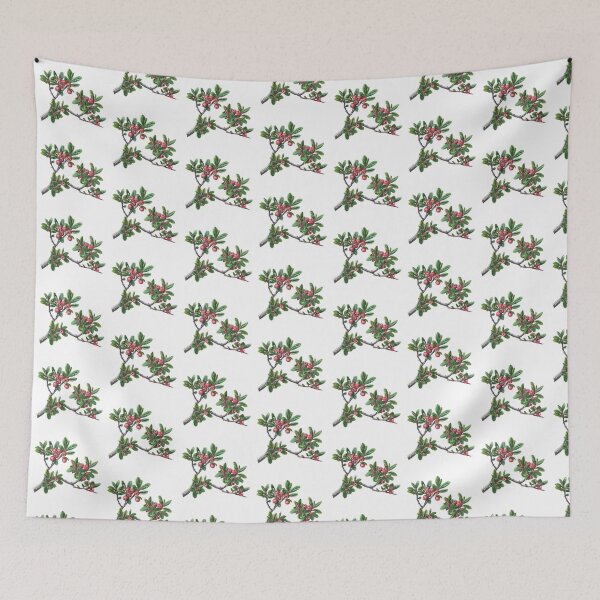 Item preview, Bearberry A Pictorial Guide to This Medicinal Plant designed and sold by Artcurrents.