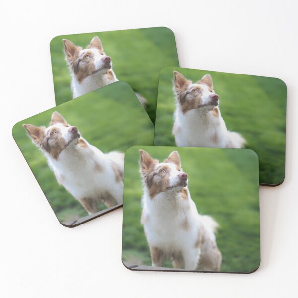 Item preview, Australian Shepherd Dog designed and sold by kenedyraemedia.