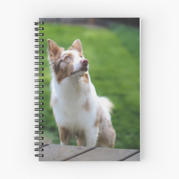 Item preview, Australian Shepherd Dog designed and sold by kenedyraemedia.