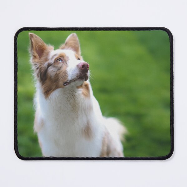 Item preview, Australian Shepherd Dog designed and sold by kenedyraemedia.