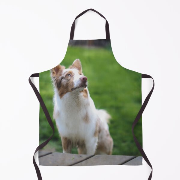 Item preview, Australian Shepherd Dog designed and sold by kenedyraemedia.