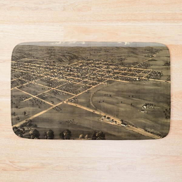 Item preview, Palmyra, Missouri (1869) designed and sold by allhistory.