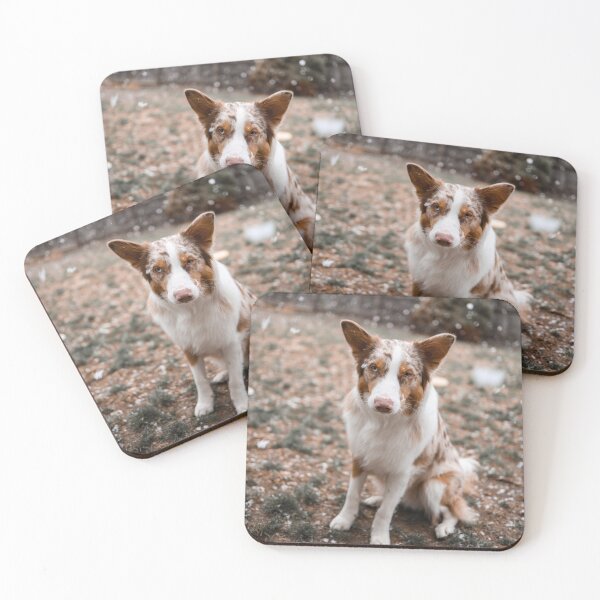 Item preview, Australian Shepherd in the Snow designed and sold by kenedyraemedia.