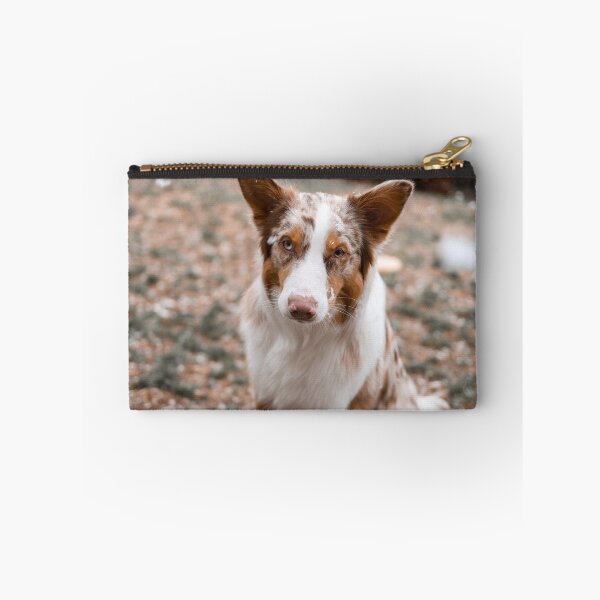 Item preview, Australian Shepherd in the Snow designed and sold by kenedyraemedia.