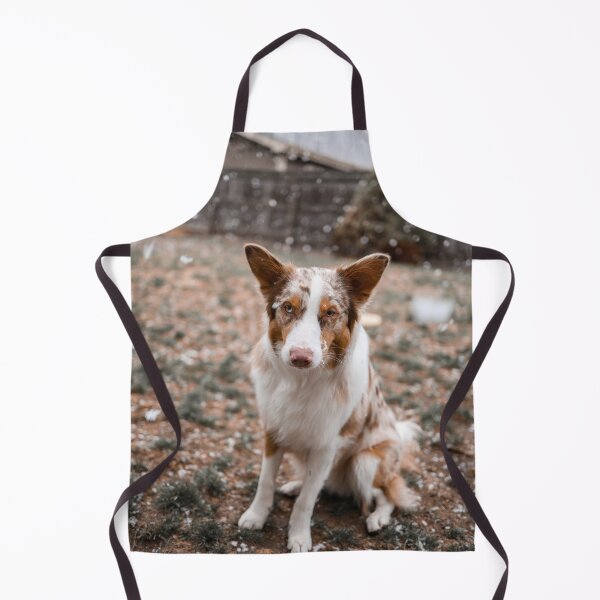 Item preview, Australian Shepherd in the Snow designed and sold by kenedyraemedia.