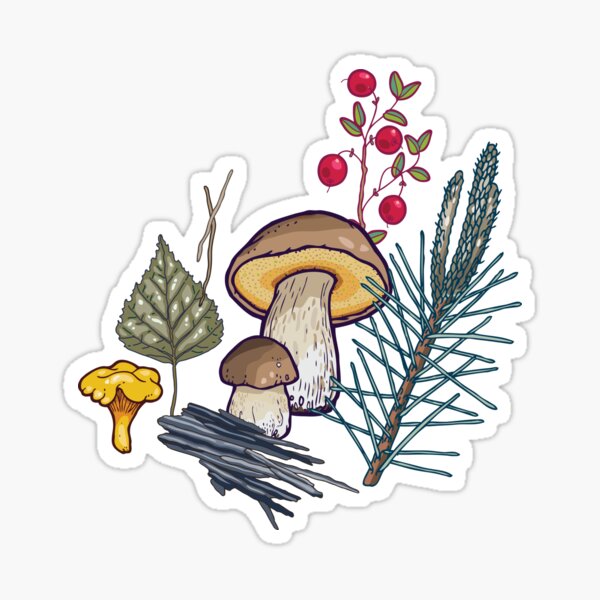 Item preview, Chanterelles and boletus designed and sold by smalldrawing.