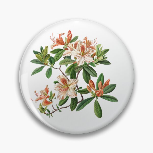 Item preview, The Most Beautiful Azalea Varieties designed and sold by Artcurrents.
