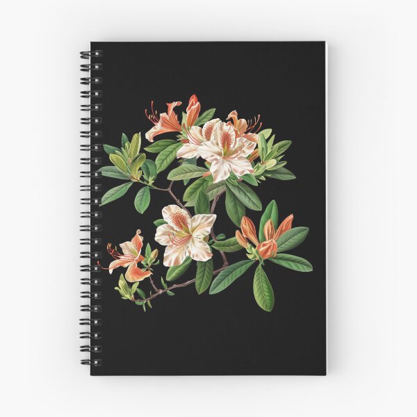 Item preview, The Most Beautiful Azalea Varieties designed and sold by Artcurrents.