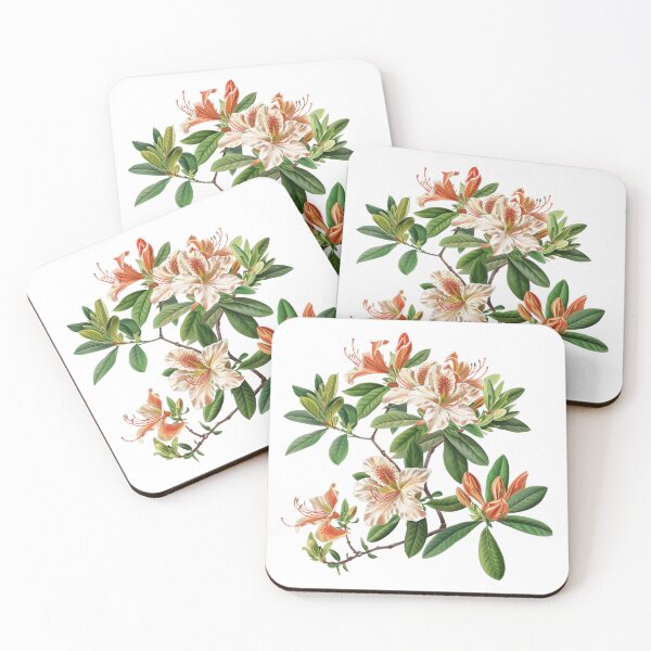 Item preview, The Most Beautiful Azalea Varieties designed and sold by Artcurrents.
