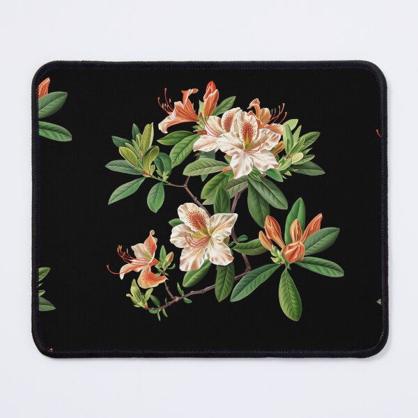 Item preview, The Most Beautiful Azalea Varieties designed and sold by Artcurrents.