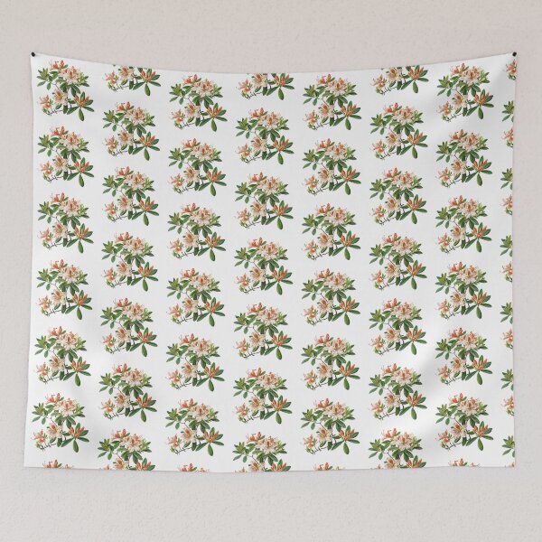 Item preview, The Most Beautiful Azalea Varieties designed and sold by Artcurrents.
