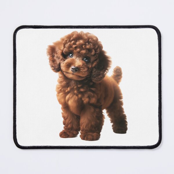 Item preview, Brown Poodle Puppy's Charm designed and sold by CardsStudio.