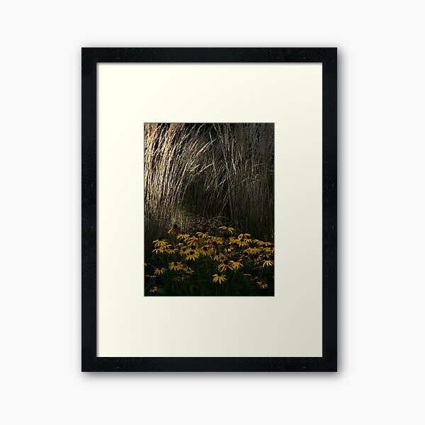 Hiding Place Framed Art Print