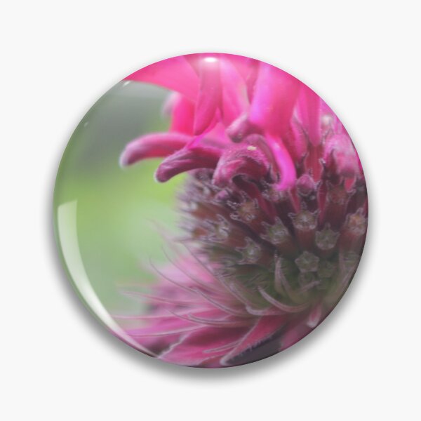 Item preview, Bee balm Flower designed and sold by TheGardenGuys.
