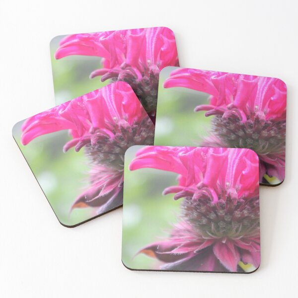 Item preview, Bee balm Flower designed and sold by TheGardenGuys.