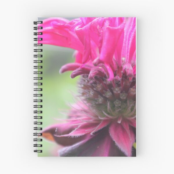 Item preview, Bee balm Flower designed and sold by TheGardenGuys.