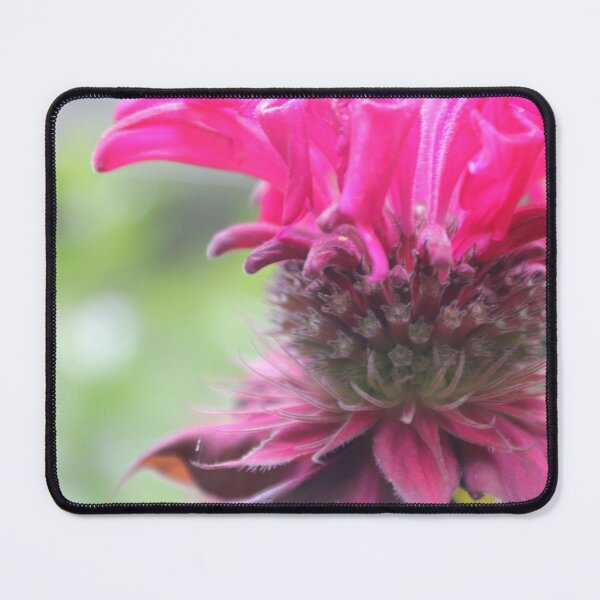 Item preview, Bee balm Flower designed and sold by TheGardenGuys.