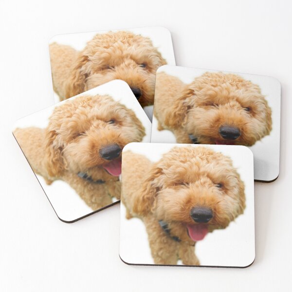 Item preview, Hey Poodle, Wassaap? Our Cool Dude Poodle. designed and sold by Poodle-Bonita.